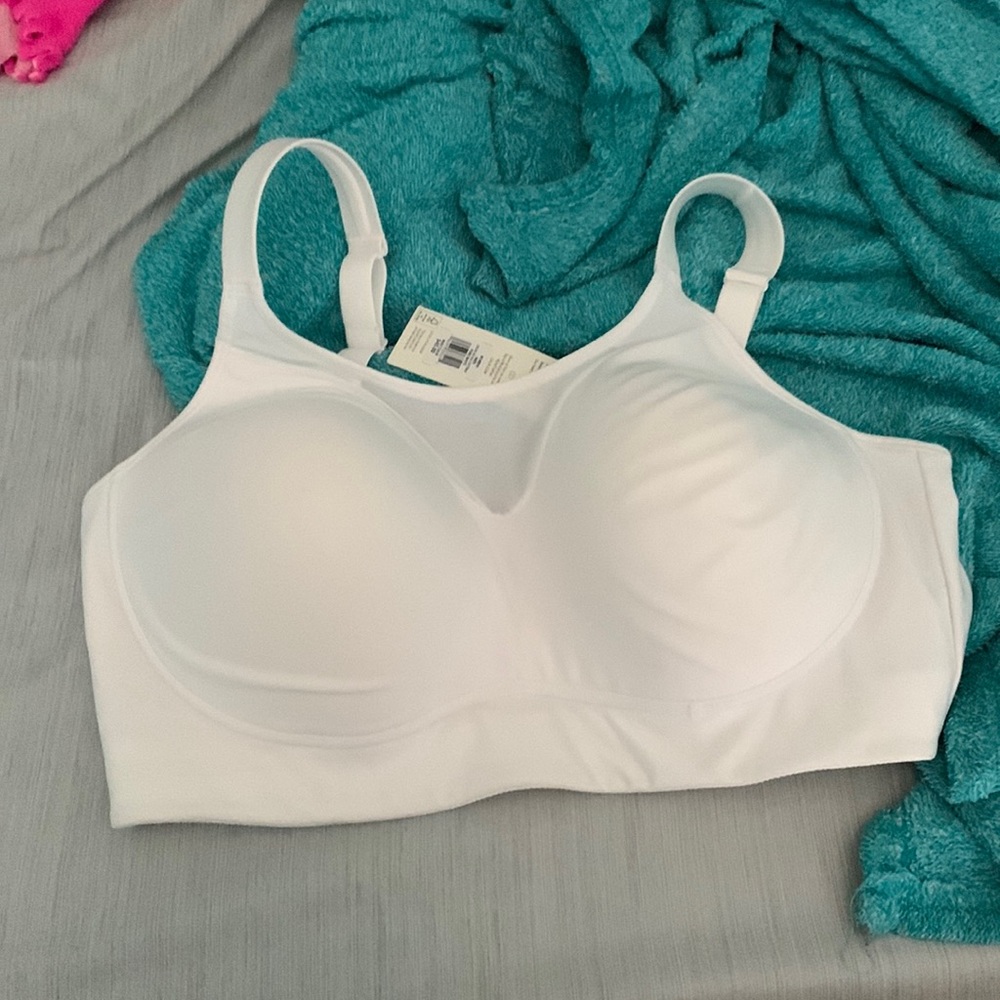 Camus Sports Bra